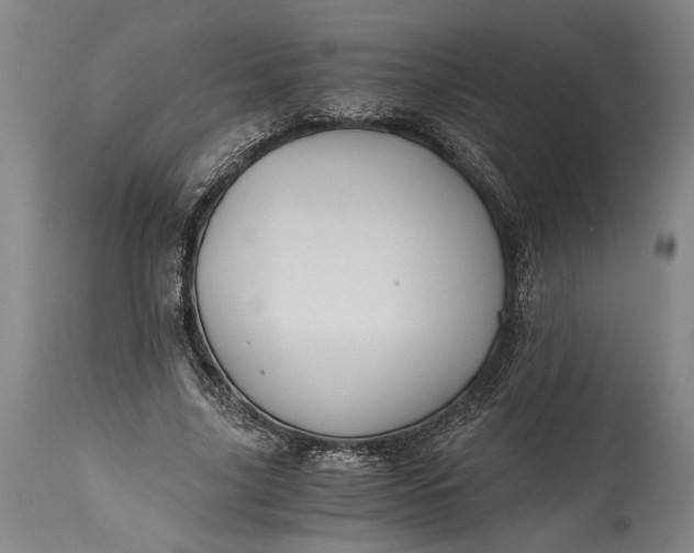 X0000115410635200911171400