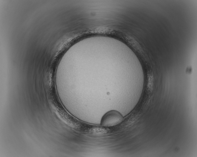 X0000115410636200911171400