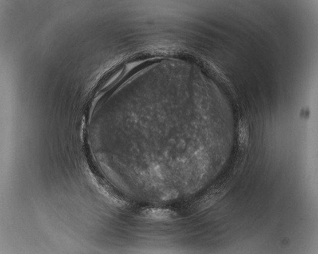 X0000115410637200911171400