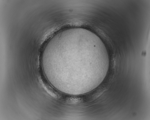 X0000115410638200911171400