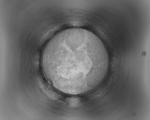 X0000115410639200911171400
