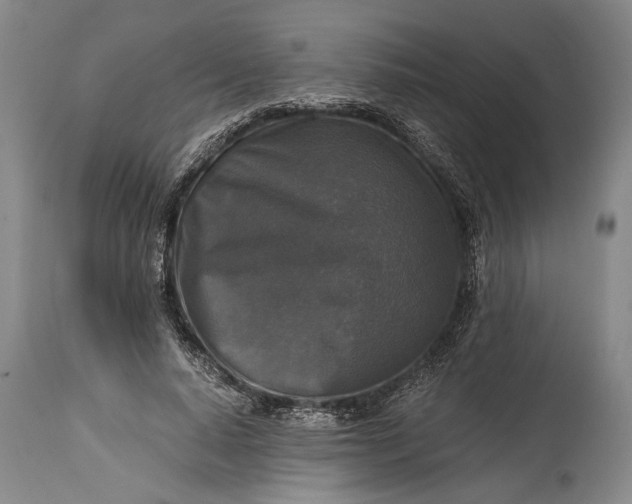 X0000115410640200911171400