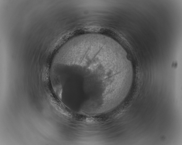 X0000115410641200911171400