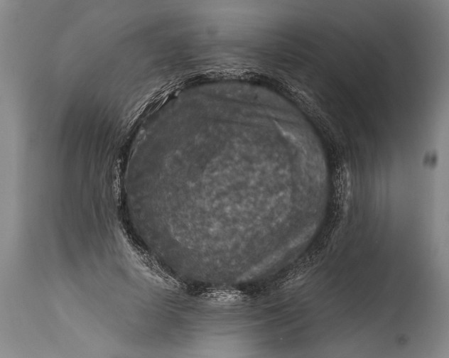 X0000115410642200911171400