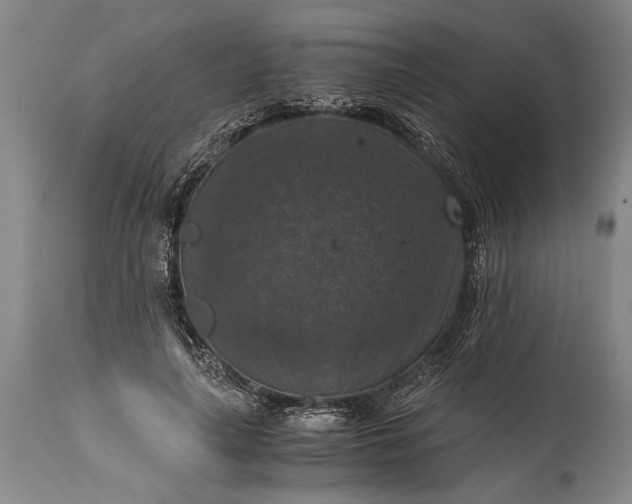 X0000115410643200911171400