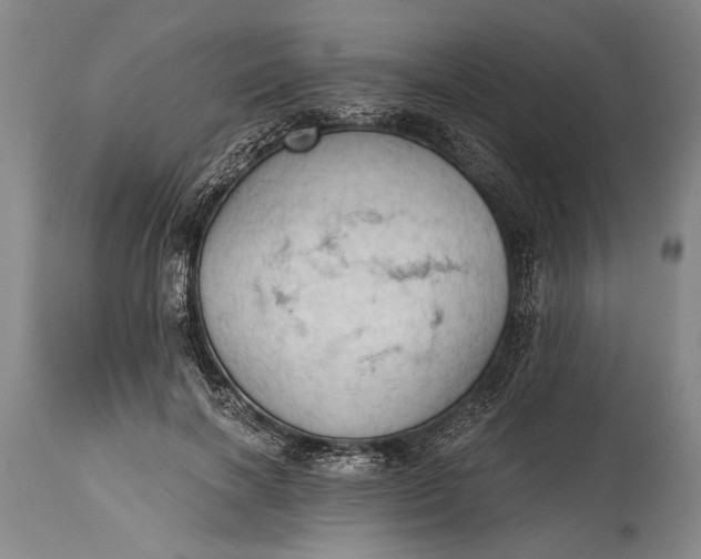 X0000115410646200911171401