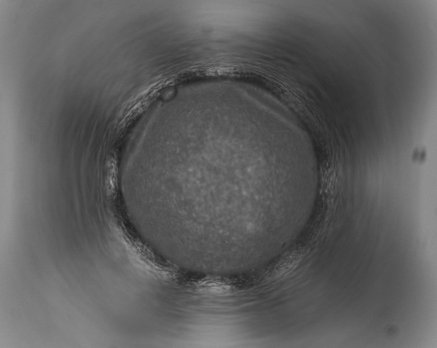 X0000115410648200911171401