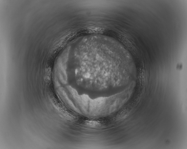 X0000115410649200911171401