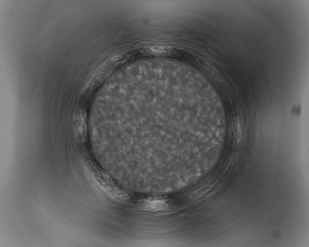 X0000115410651200911171401