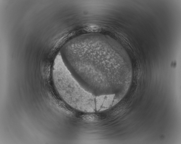 X0000115410652200911171401