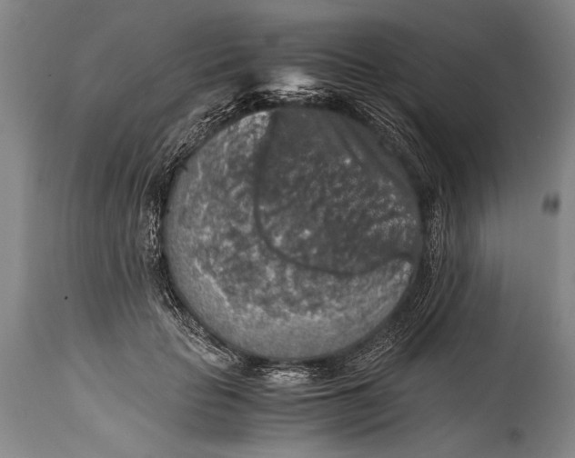 X0000115410653200911171401