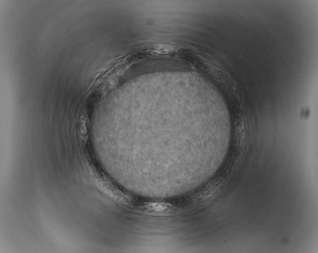X0000115410654200911171401