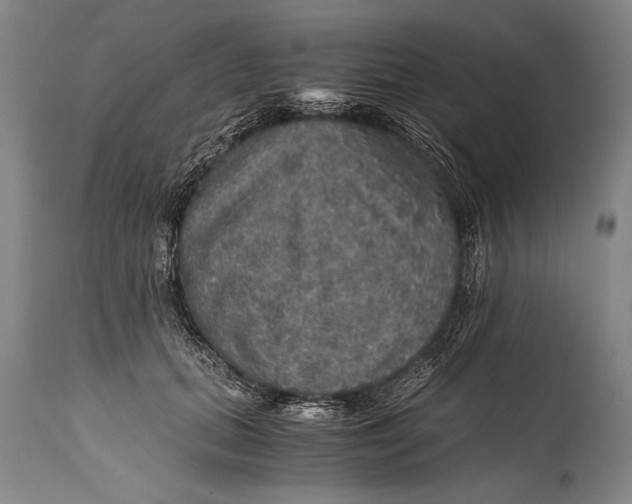 X0000115410655200911171401