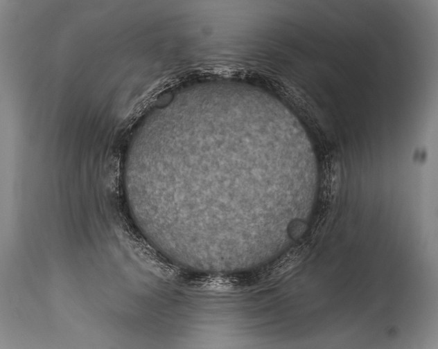 X0000115410656200911171401