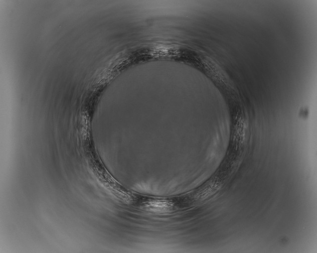 X0000115410659200911171401