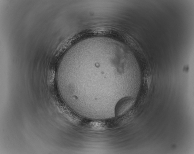 X0000115410660200911171401