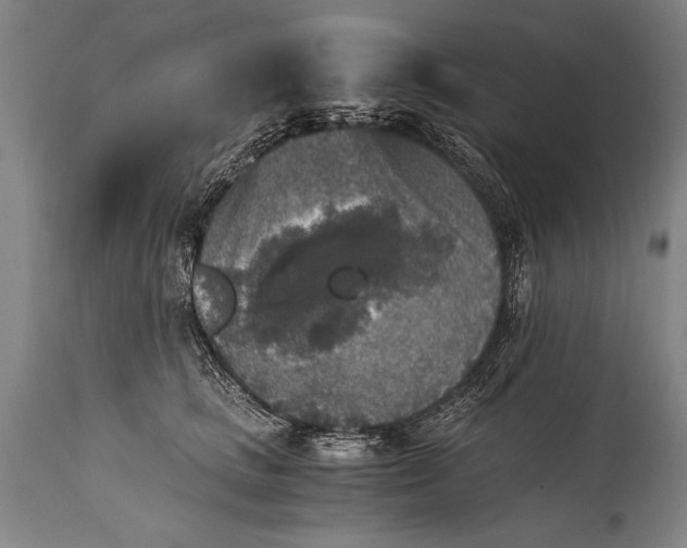 X0000115410661200911171401