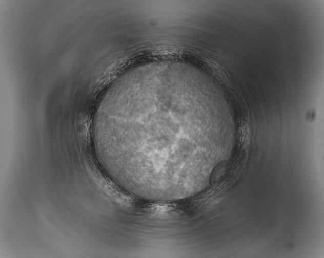 X0000115410662200911171401