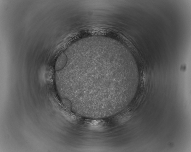 X0000115410663200911171401