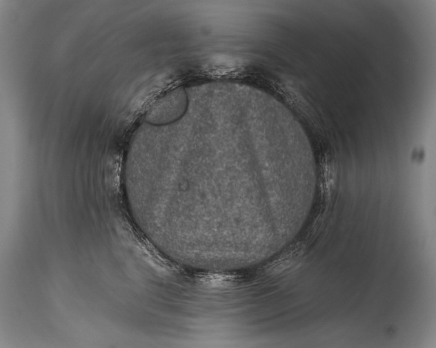 X0000115410664200911171401