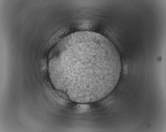 X0000115410665200911171401
