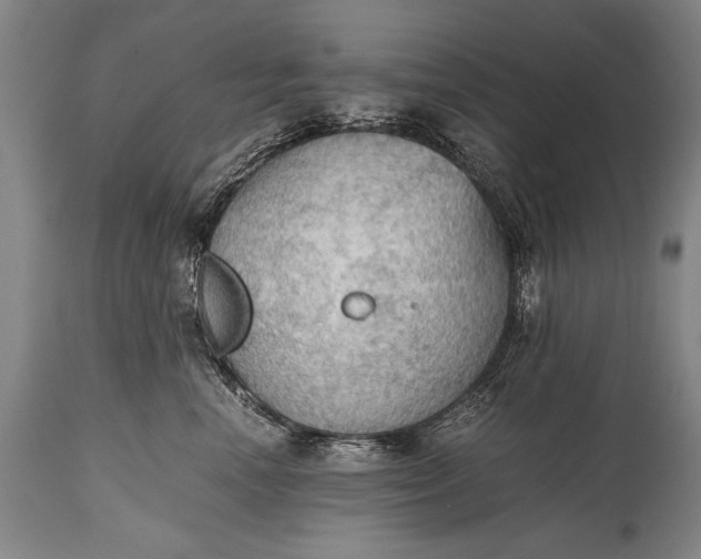 X0000115410666200911171401