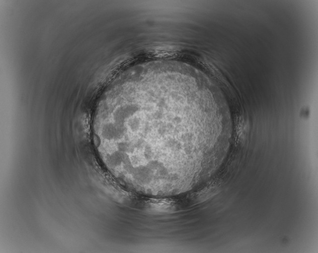 X0000115410667200911171401