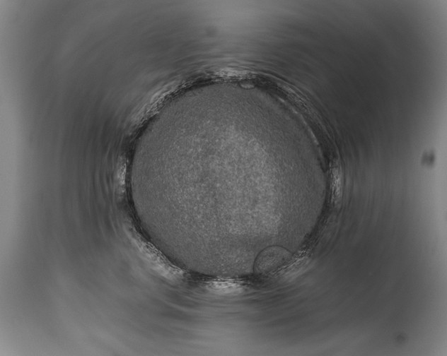 X0000115410668200911171401