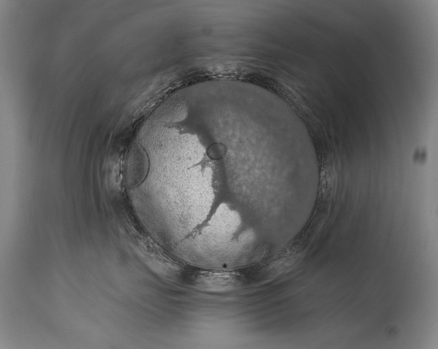 X0000115410671200911171401