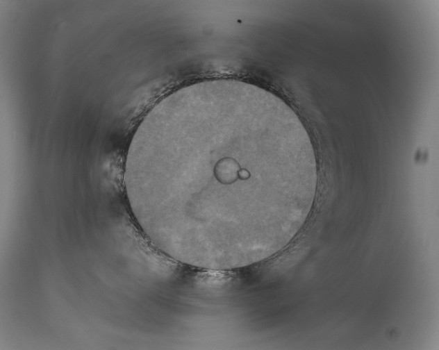 X0000115410672200911171401