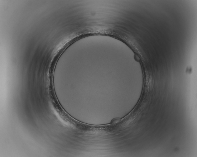X0000115410674200911171400