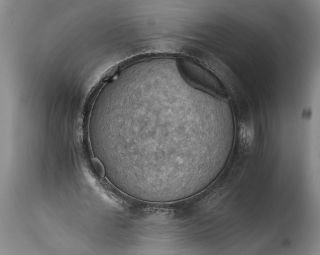 X0000115410676200911171400