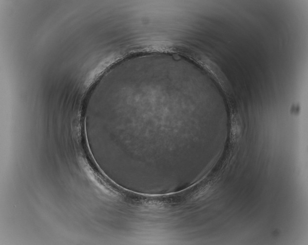 X0000115410677200911171400