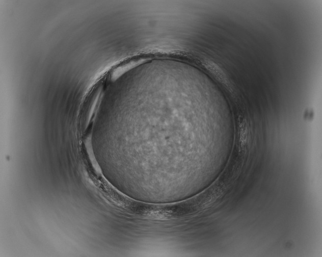 X0000115410680200911171400