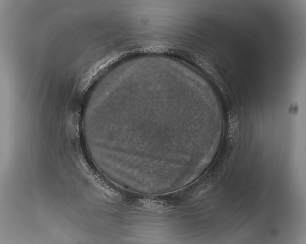 X0000115410681200911171400