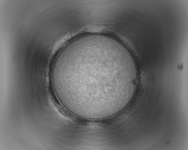 X0000115410682200911171400