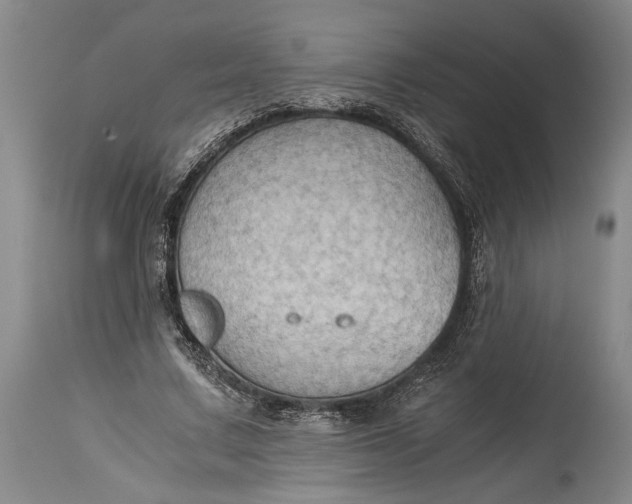 X0000115410683200911171400