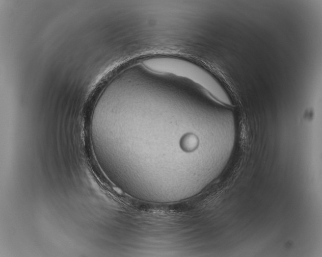 X0000115410684200911171400