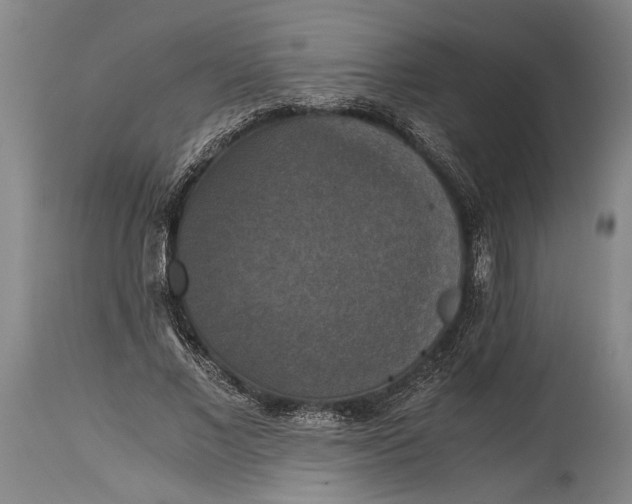 X0000115410685200911171400