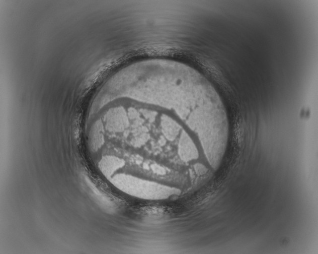 X0000115410687200911171400