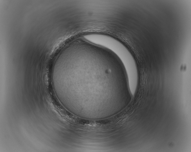 X0000115410688200911171400