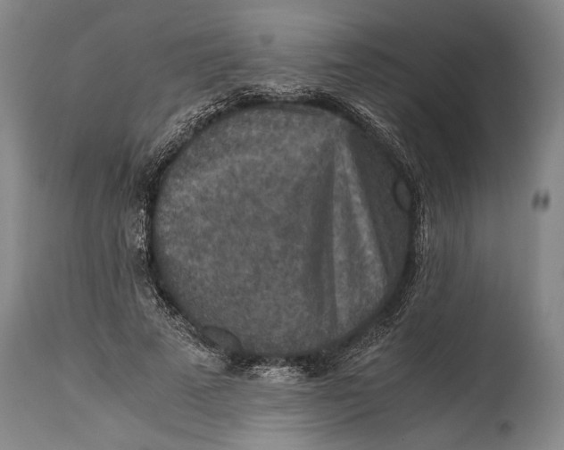 X0000115410689200911171400