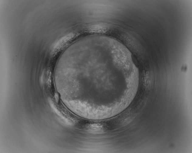 X0000115410692200911171400