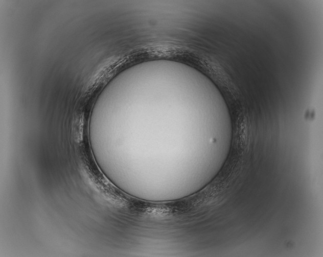 X0000115410694200911171400