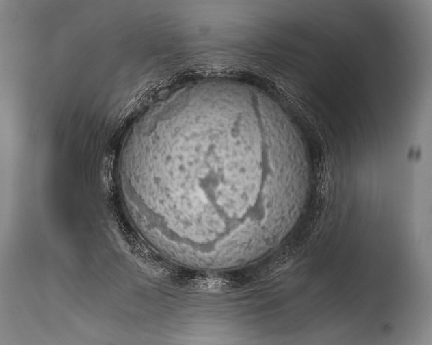 X0000115410695200911171400