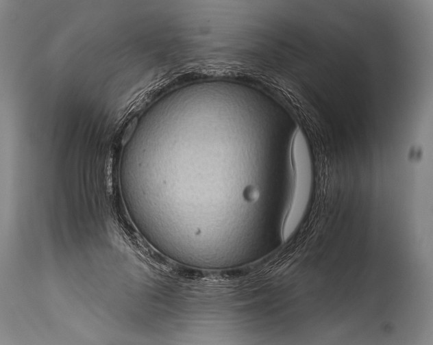 X0000115410696200911171400