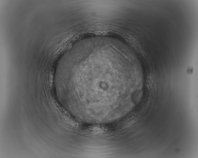 X0000115410697200911171400