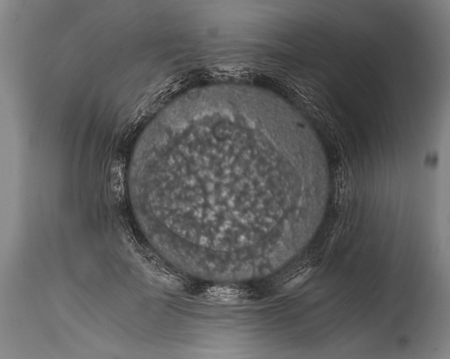 X0000115410699200911171400