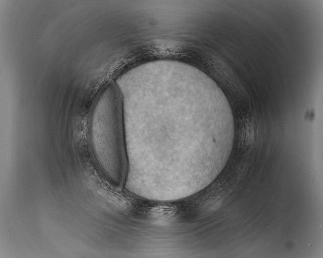 X0000115410700200911171400