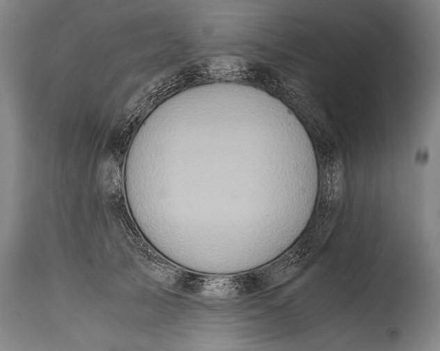 X0000115410705200911171400